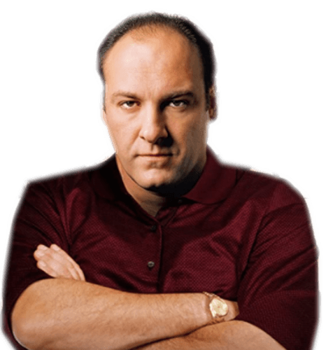 The Sopranos 2 logo