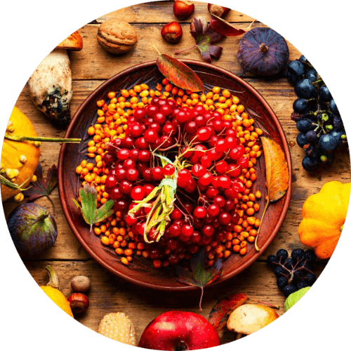 More Fall Food Favorites logo