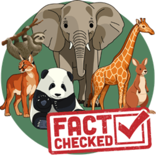 Animal Fact Check logo