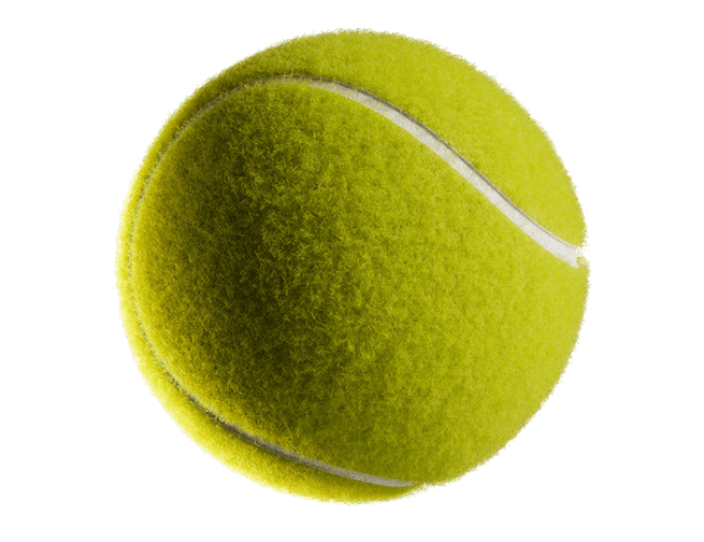 Tennis Grand Slams logo
