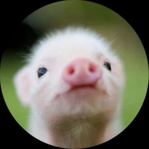 Guess the Animal Baby logo