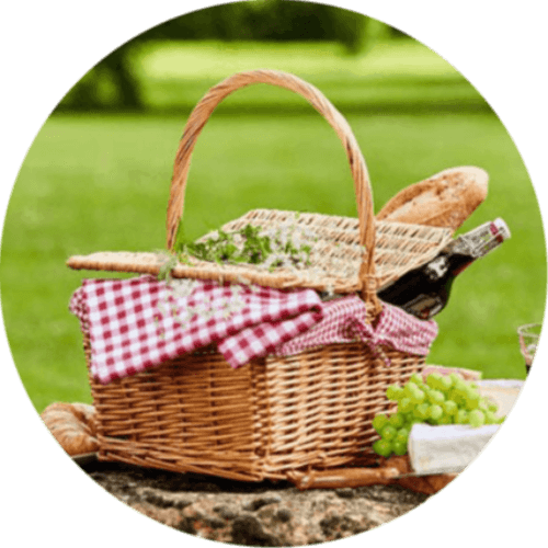 At a Picnic logo