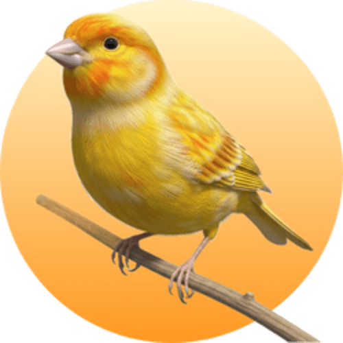 Name That Bird logo