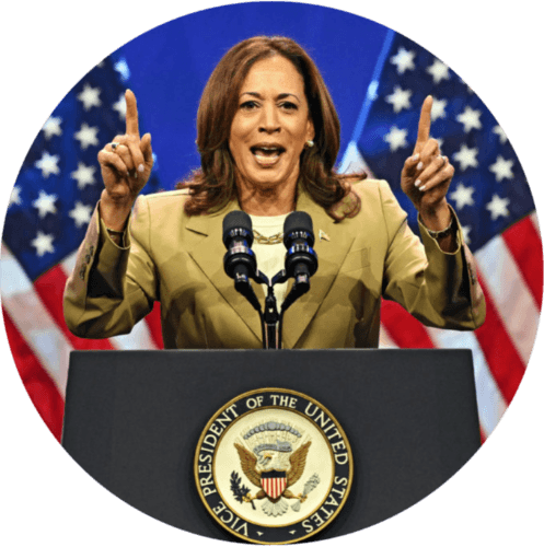 U.S. Vice Presidents logo