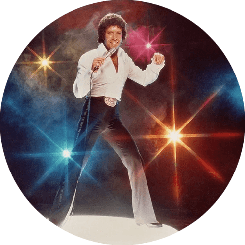 Name That Singer logo