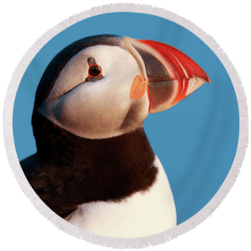 Crazy Animals logo