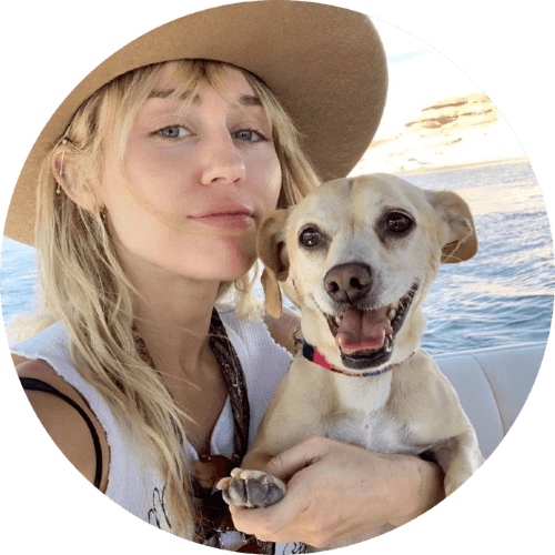 Celebs & Their Pets logo