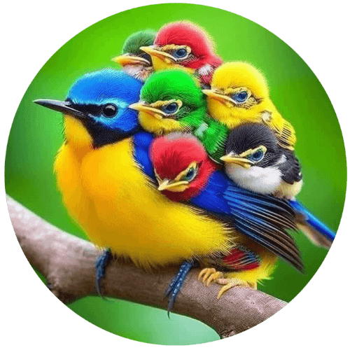 Trivia for the Birds logo