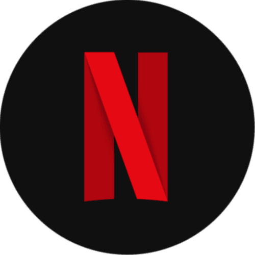 Netflix Bingo logo