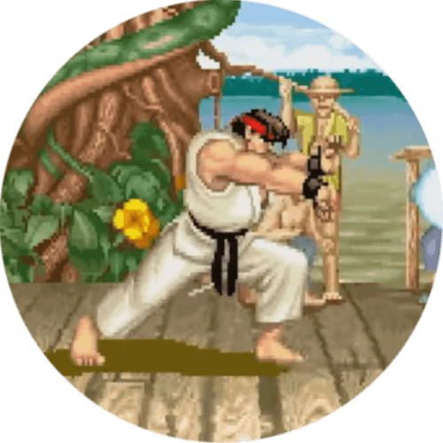 The Street Fighter Franchise logo