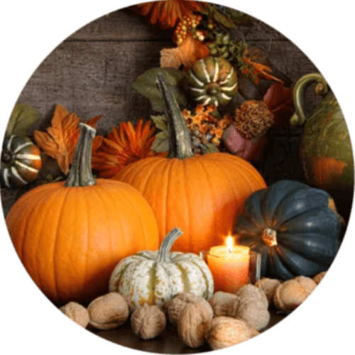 Festive Fall Bingo logo