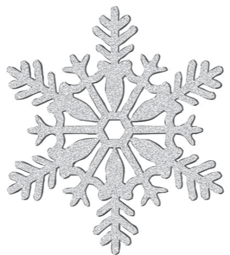 More Winter Fun Facts logo