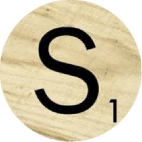 The Letter S logo