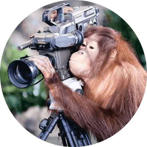 Animal Actors logo