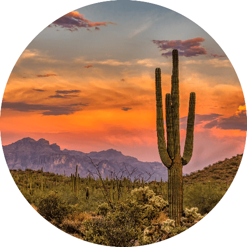 Dry Things Trivia logo