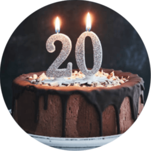 Turning 20 in 2024 logo