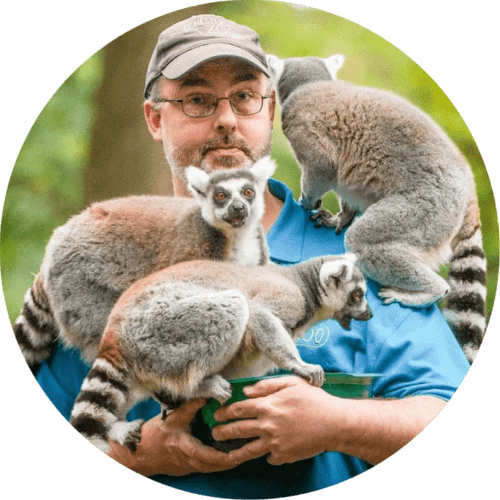 At the Zoo logo