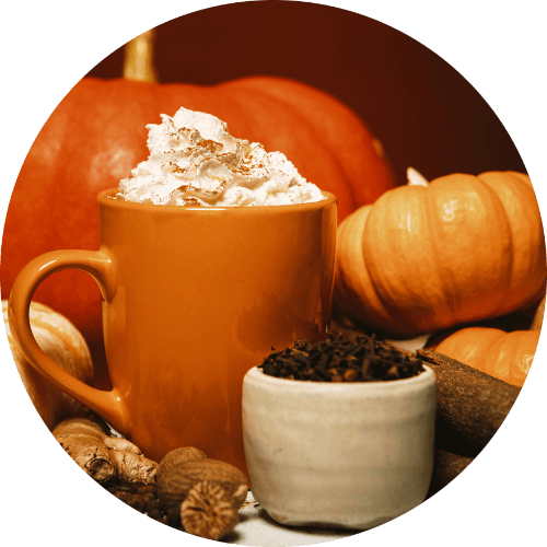 Pumpkin Spiced Trivia logo