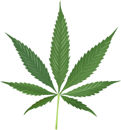 Cannabis Trivia logo