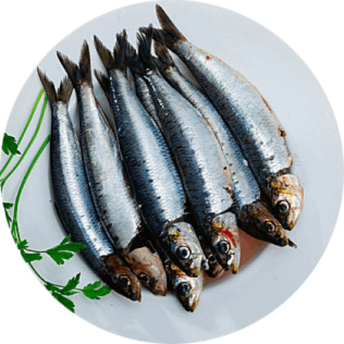 Seafood Trivia logo