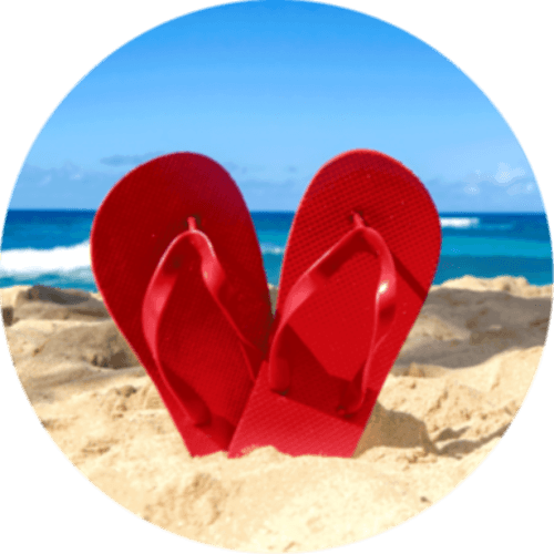 Summertime Bingo logo