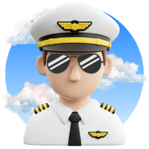 National Aviation Day logo