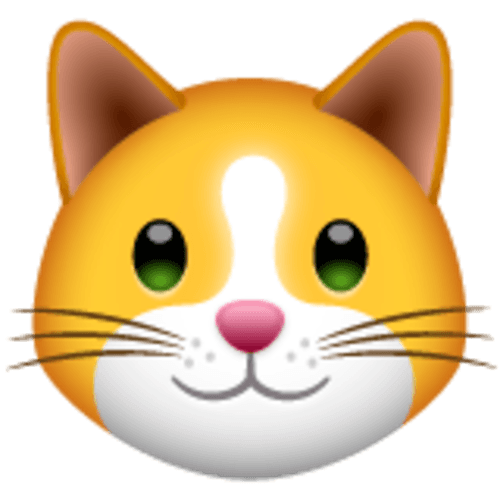 Curiosity About Cats logo
