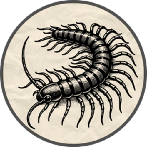 Zero Legs, Two Legs, Four Legs, or More logo