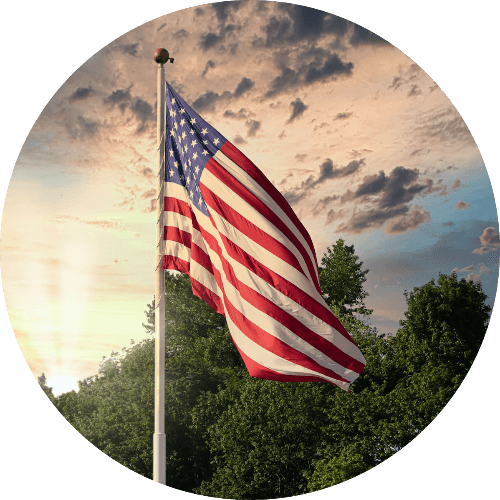 Official State Symbols logo