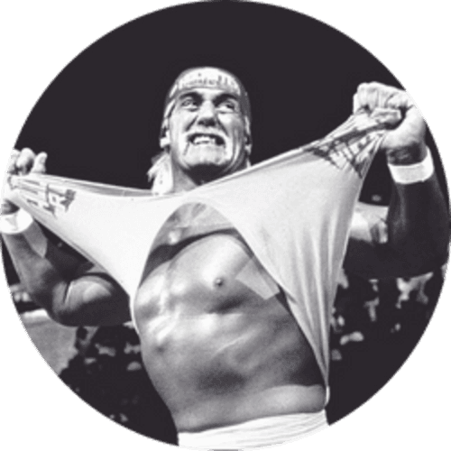 Hulk Hogan Tribute logo