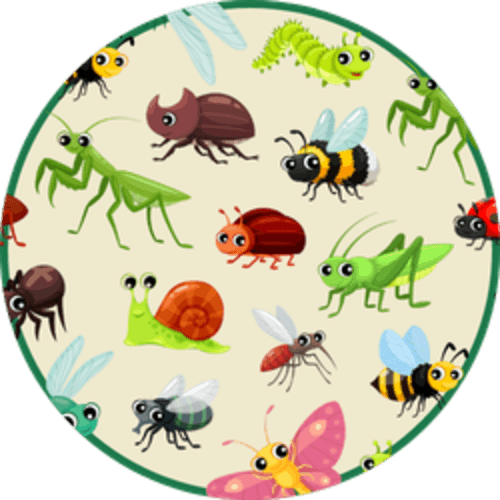 Insect Identification logo