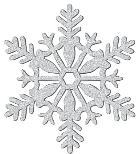 Winter Fun Facts logo