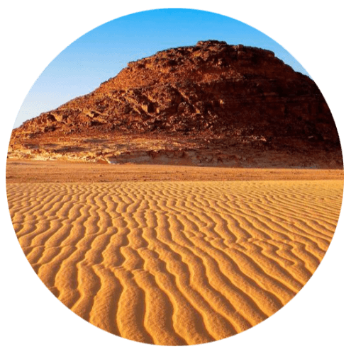 In the Desert logo