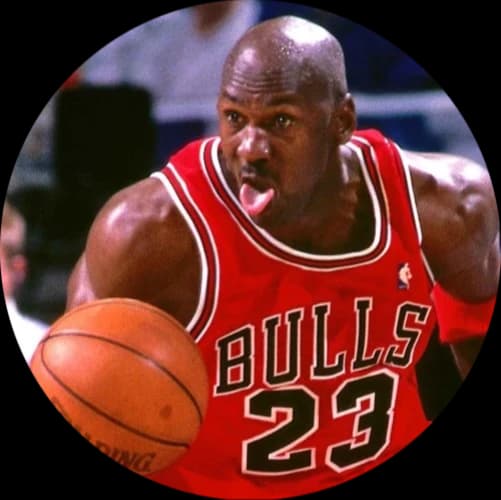 Michael Jordan & the 1990s Chicago Bulls logo