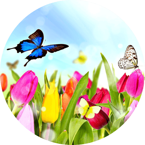 Spring Into Bingo logo