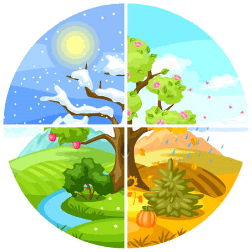 "Seasonal" Affective Trivia logo